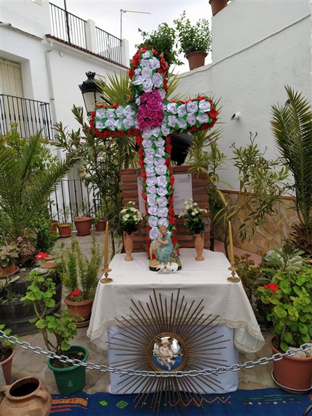 DiaCruz