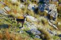 images/ParqueNatural/Parque_Natural_10.jpg