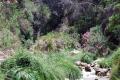 images/ParqueNatural/Parque_Natural_21.jpg