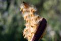 images/ParqueNatural/Parque_Natural_4.jpg