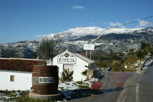 BodegasAlmijara3 BodegasAlmijara3
