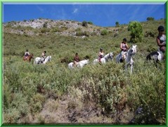 equitacion equitacion